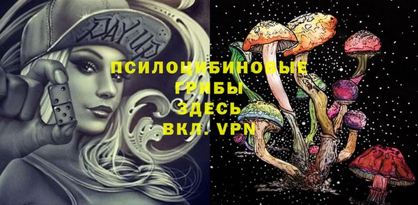 кристаллы Гусь-Хрустальный