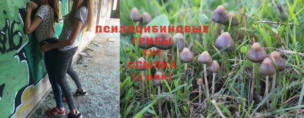 кристаллы Гусь-Хрустальный