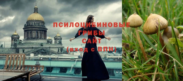 кристаллы Гусь-Хрустальный