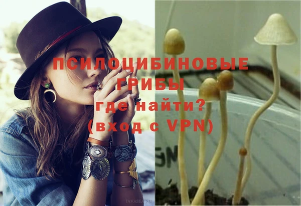кристаллы Гусь-Хрустальный