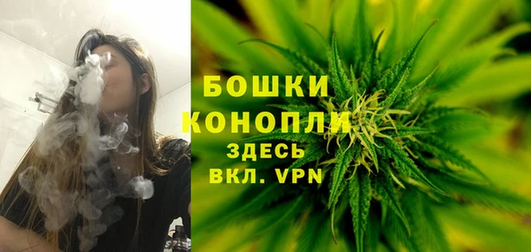не бодяженный Гусиноозёрск