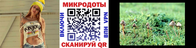 Купить где  Нюрба  Галлюциногенные грибы Magic Shrooms 